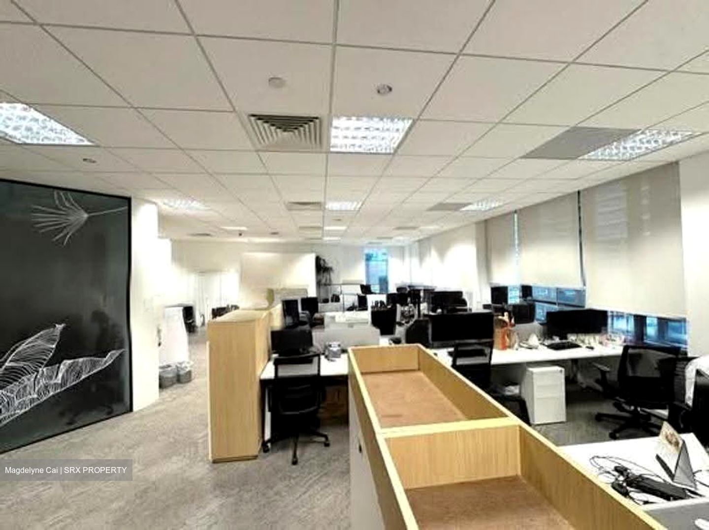 PLUS (D1), Office #639835261